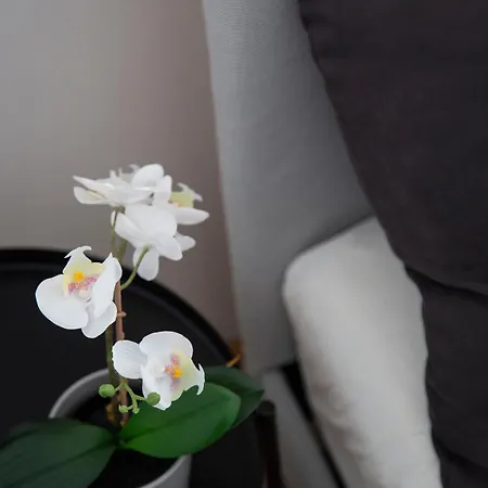 Apartment Global Living - Downtown Cozy In The Gozsdu Garden